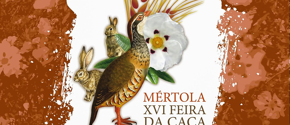 feira ca.jpg