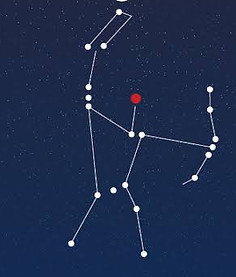 Family Constellations by Sweeta W Somo