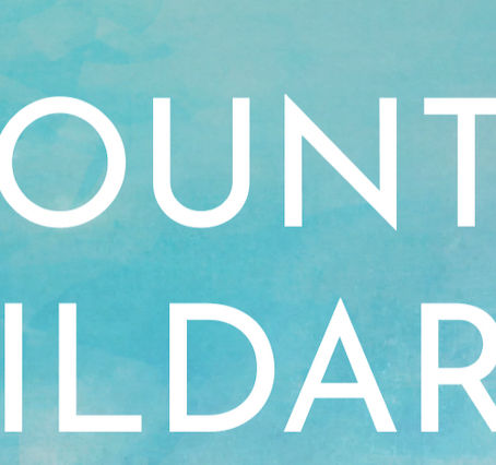 Discover the Magic of County Kildare in My Debut Novel: Available Now!