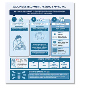 One page infographic design depicting the process of developing and approving a vaccine.