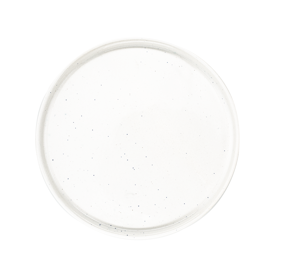 WHITE DINNER PLATE