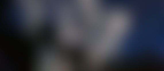 Oliver From The Rooftop!