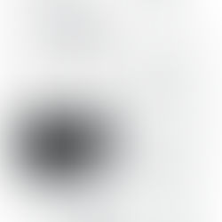 リアル日記＜1月３１日（日）＞