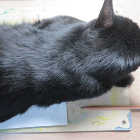 「ブーイングネルコ」