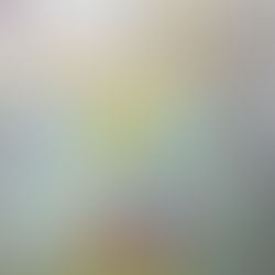 「猫をこえて」