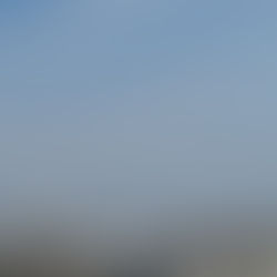 「猫の声、ぼくの声」