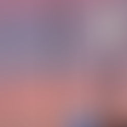 「百の森、千の森」