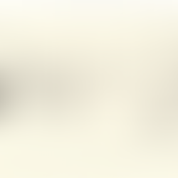 「煮物、あげもの、お弁当」