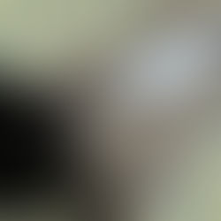 「いつもの日々に」