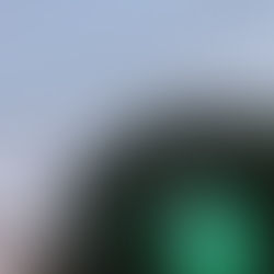 「summer festival」