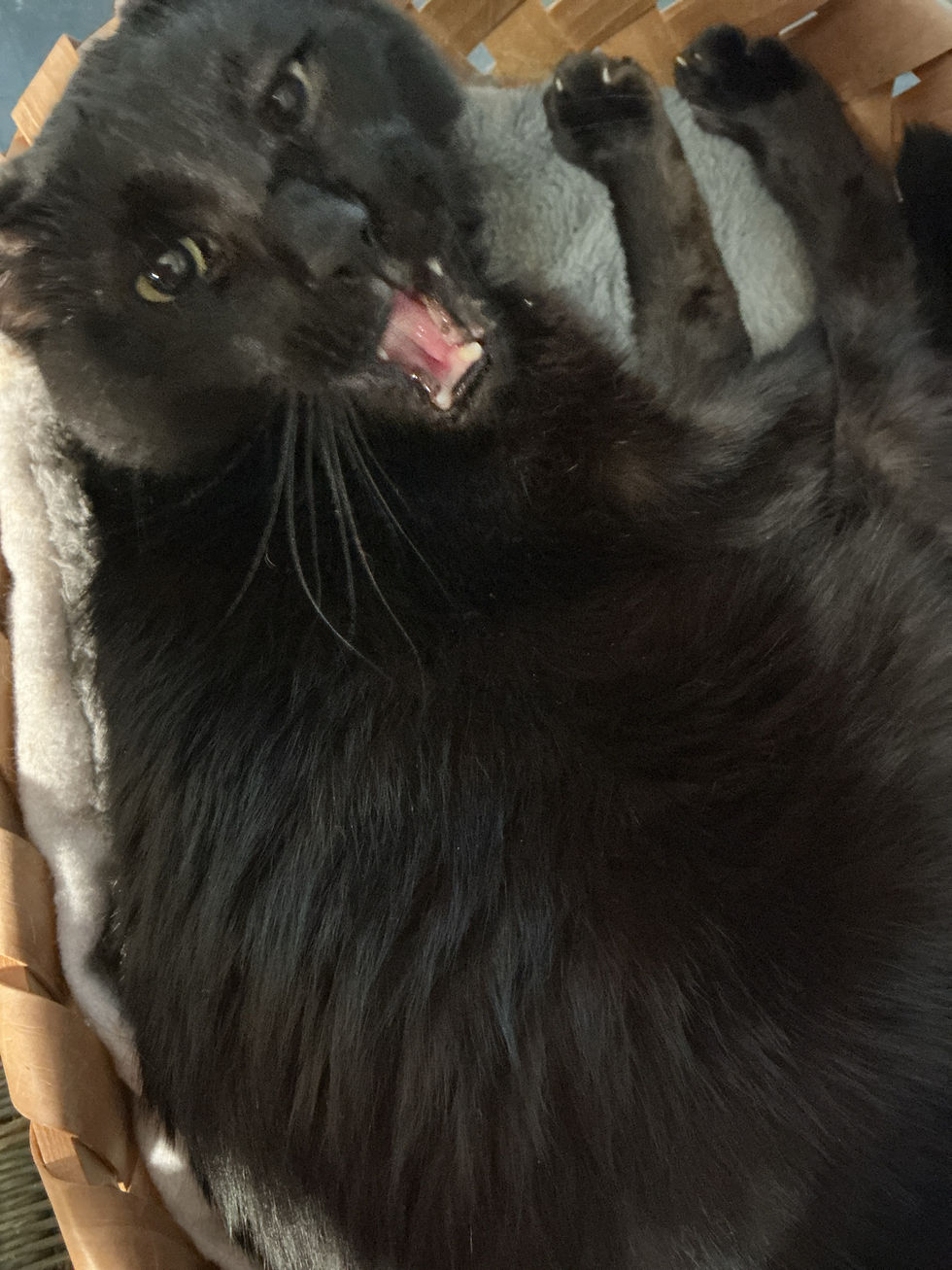 「こんな朝は」