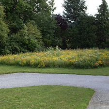 SDC11993.JPG