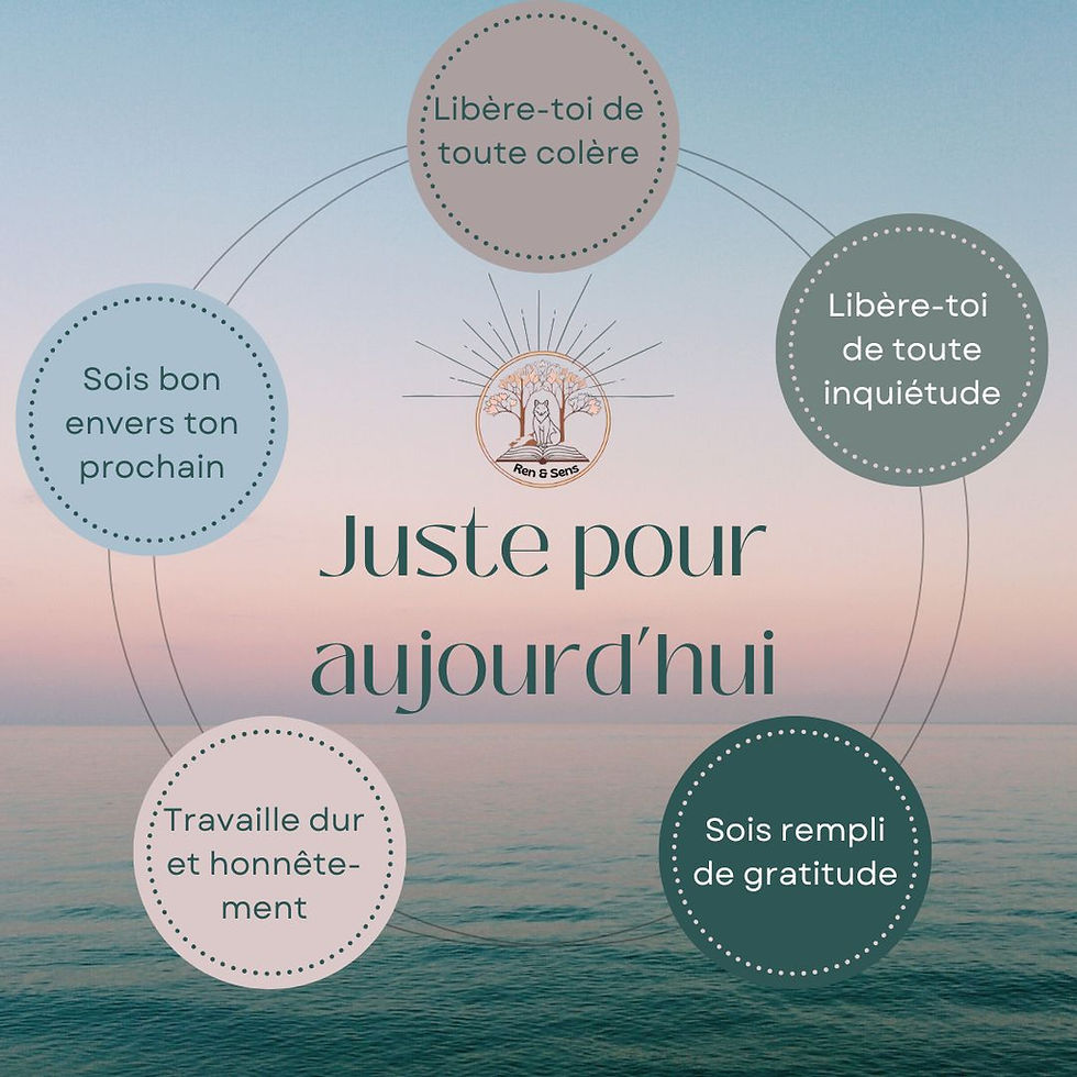 Les 5 préceptes du Reiki