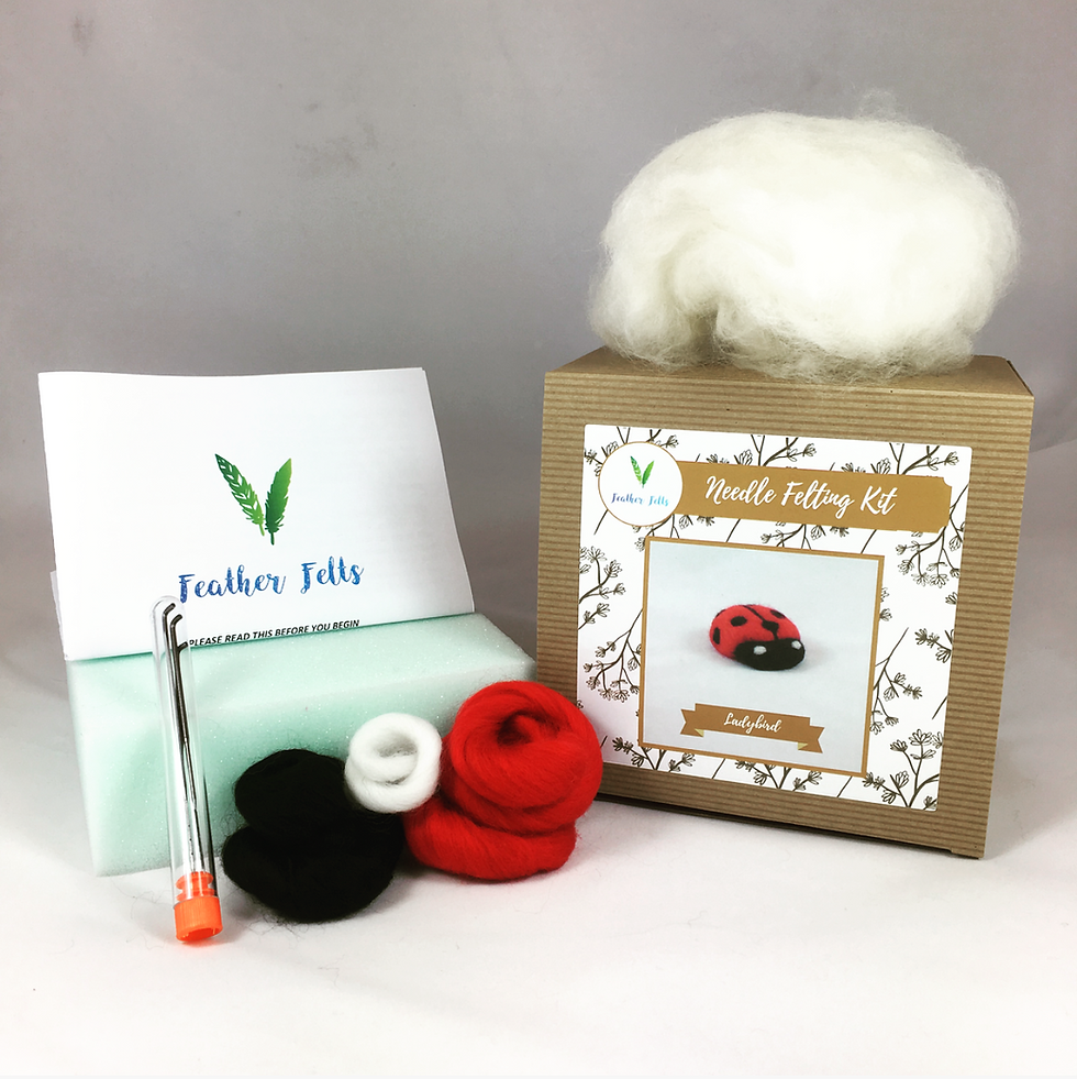 Miniatura: Ladybird