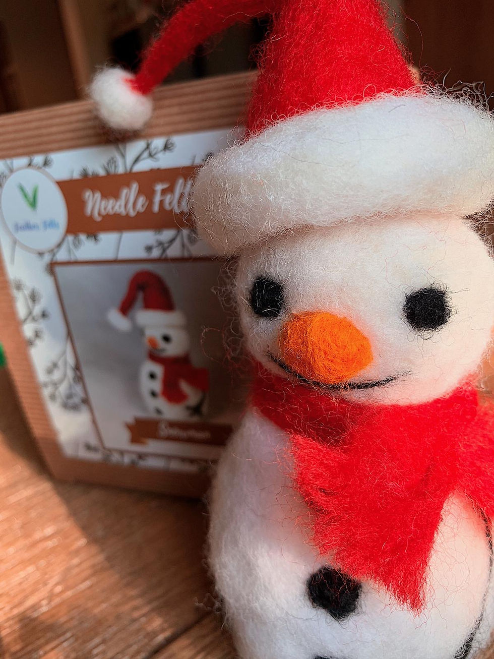 Miniatura: Any 2 x Beginner Kits