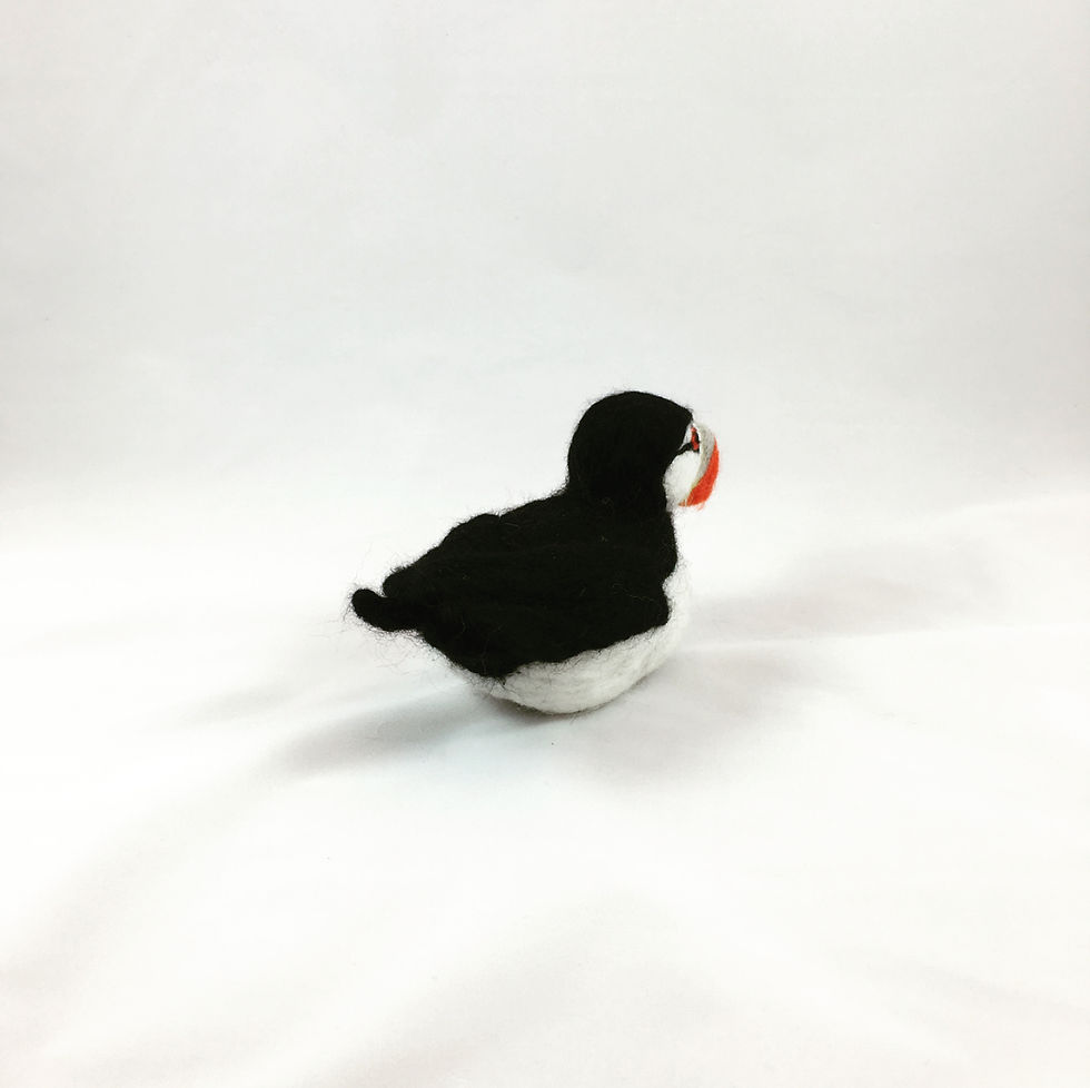 Miniatura: Puffin