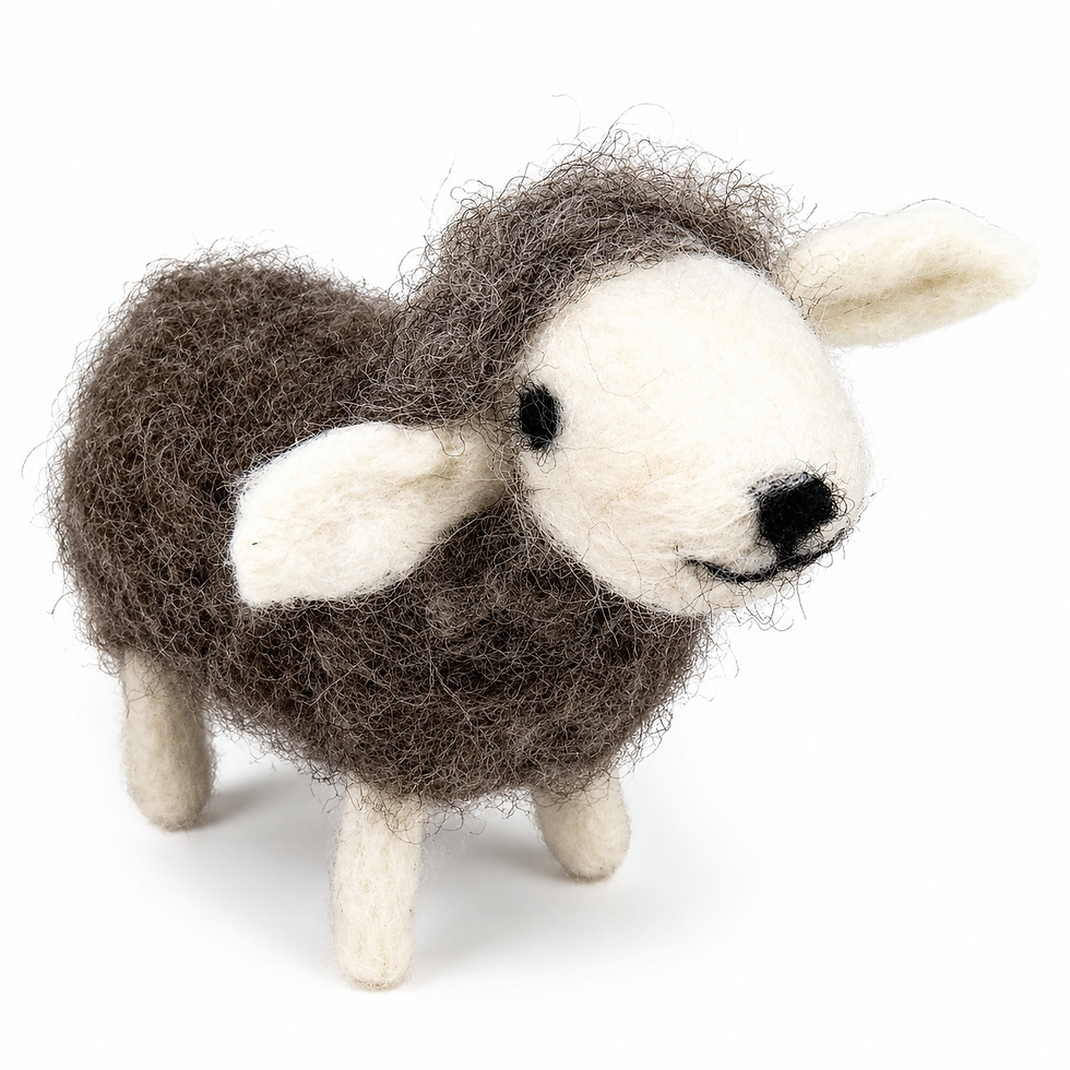Thumbnail: Grey Sheep