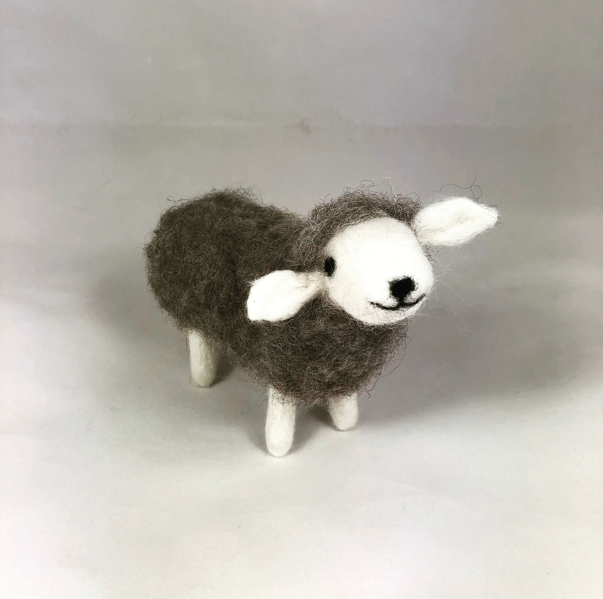 Grey Sheep