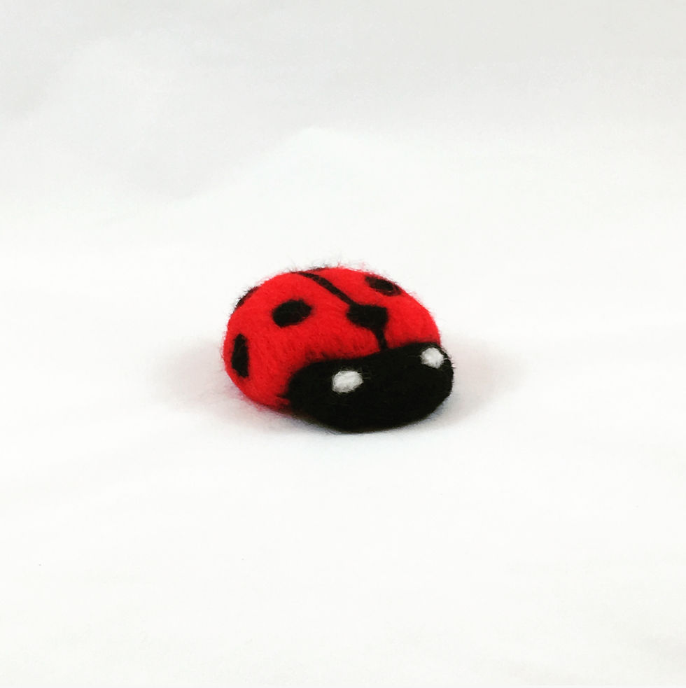 Miniatura: Ladybird
