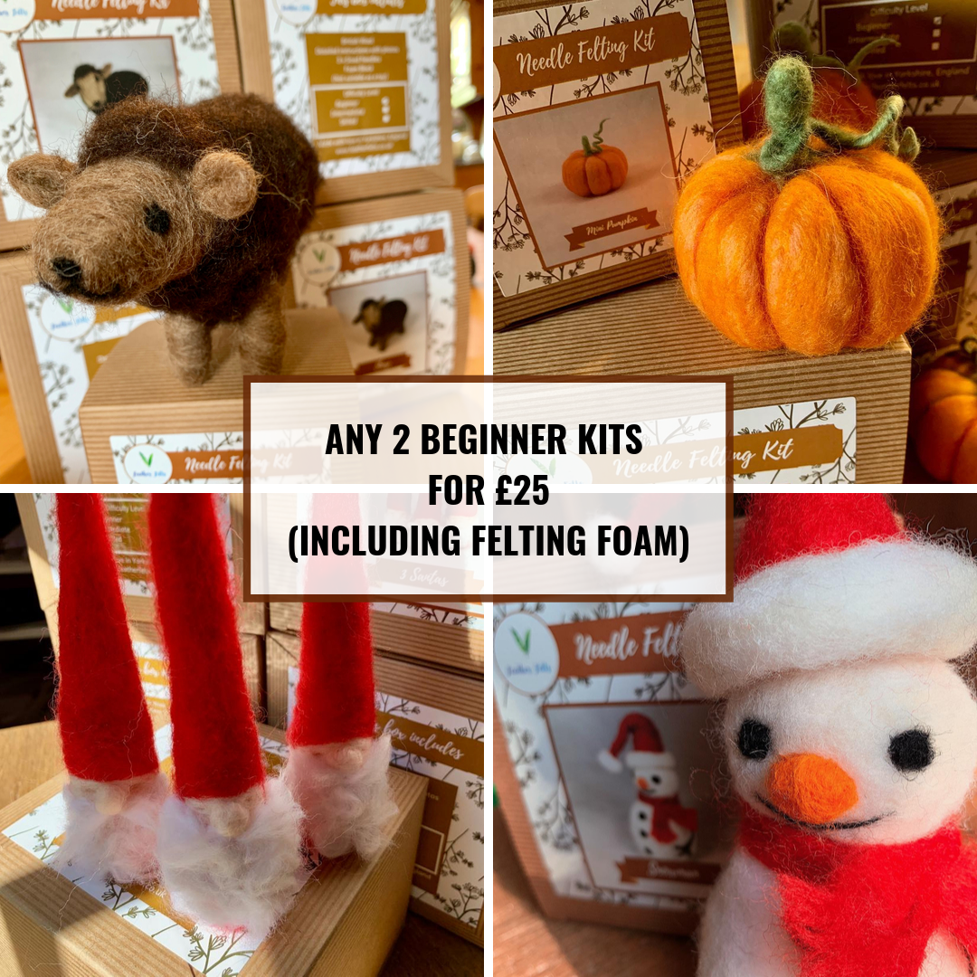 Any 2 x Beginner Kits