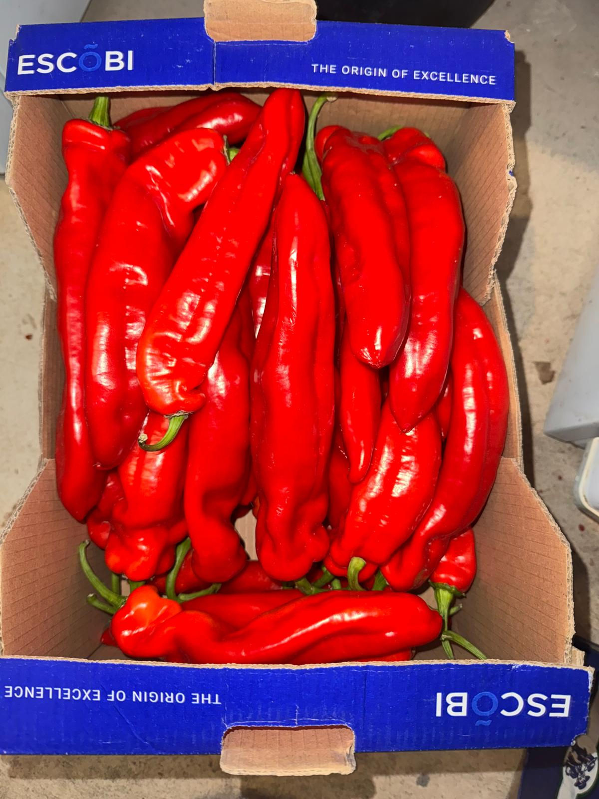 SHEPPERD PEPPER (LONG ONES)