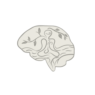 Psychedelic Assisted Therapy: A Holistic Approach to Mental health