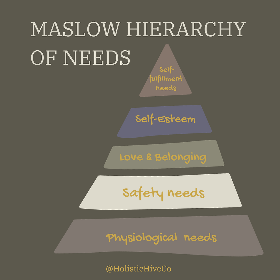 Meeting Basic Needs The Relationship Between Basic Needs And Mental Health Meeting Basic Needs The Relationship Between Basic Needs And Mental Health