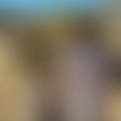 6 Benefits Animals Have On Our Mental Health