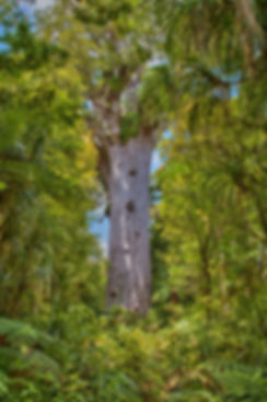0989-HDR-2.jpg