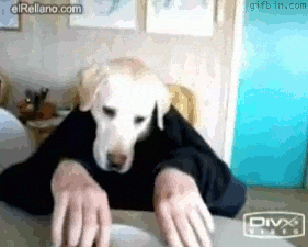 08.gif