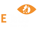 E-Tabs - Orange and white.png
