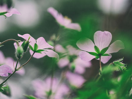 Living in Survival Mode Does Not Mean You Are Living