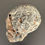 Thumbnail: Human Skull - Yooperlite