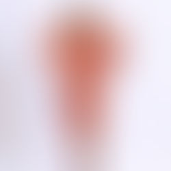 The Art of Expression: Embracing Graphic Fashion