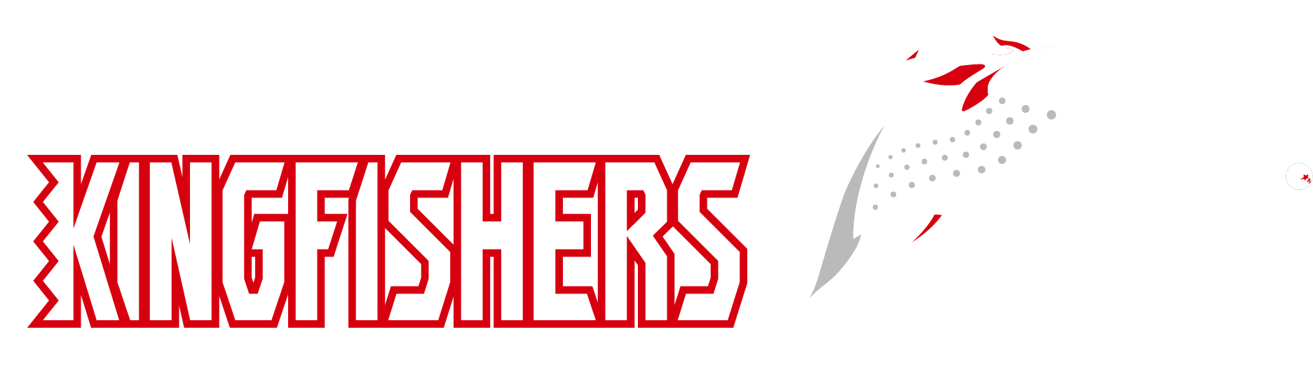 日野自動車株式会社卓球部 日野キングフィッシャーズオフィシャルサイト