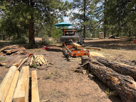 Portable sawmill Durango, CO