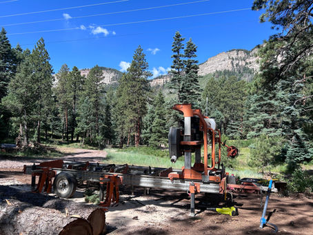 Portable Sawmill in Colorado