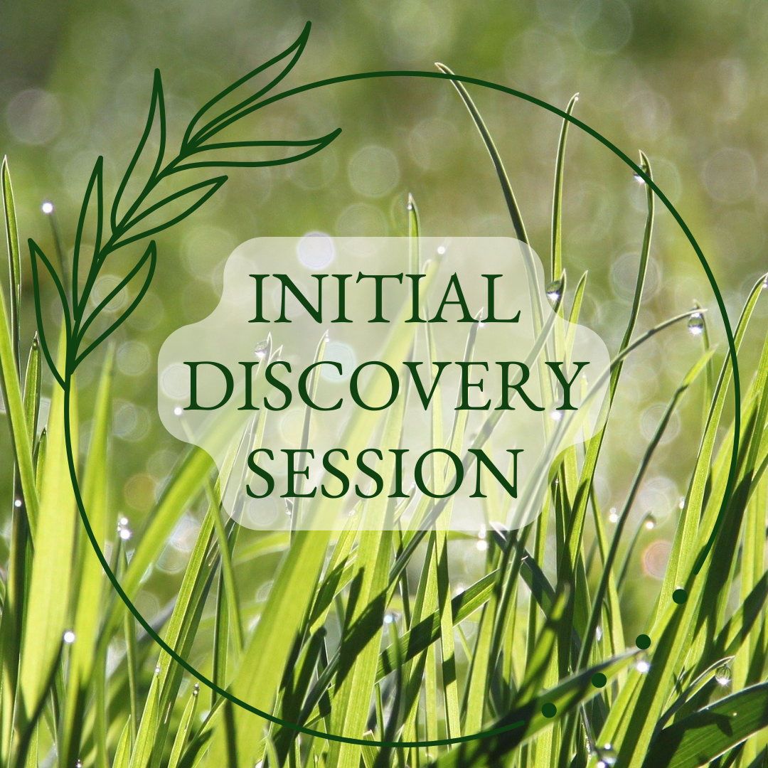 Initial Discovery Session