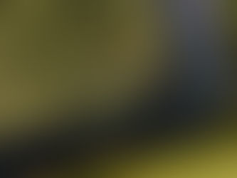 In the Reeds of the River