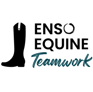 Teamwork logo.png