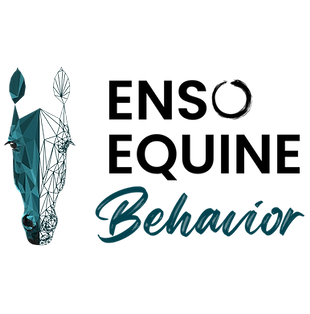 Behavior logo.png