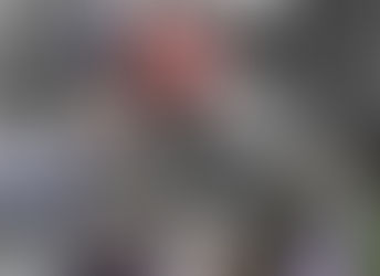 TELARES TEJIDO PLANA, COLECCION DE TEJIDOS LANERIA. ...