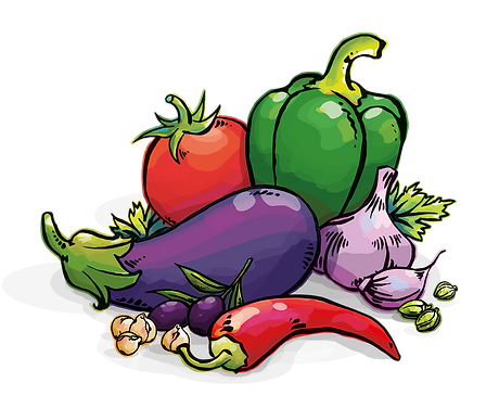 Illustrations_Legumes_MPV.png