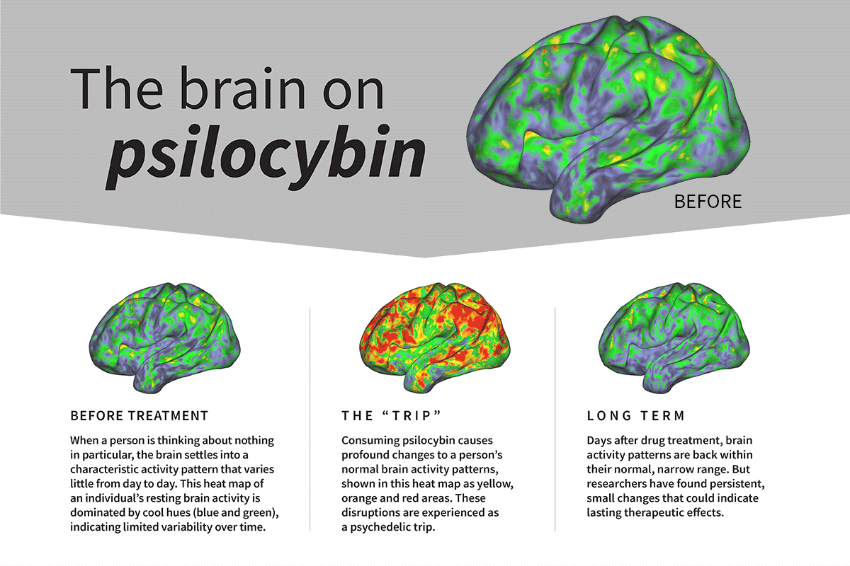 psilocybin-2.gif