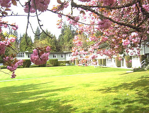 West_Vancouver_Care_Centre_in_the_Spring.jpeg