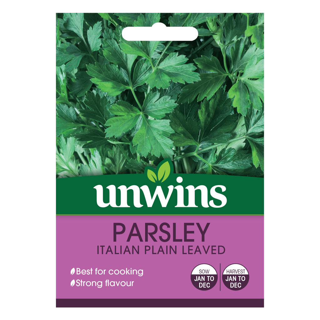Unwins Parsley Italian Plain Leaved - Approx 700 Seeds