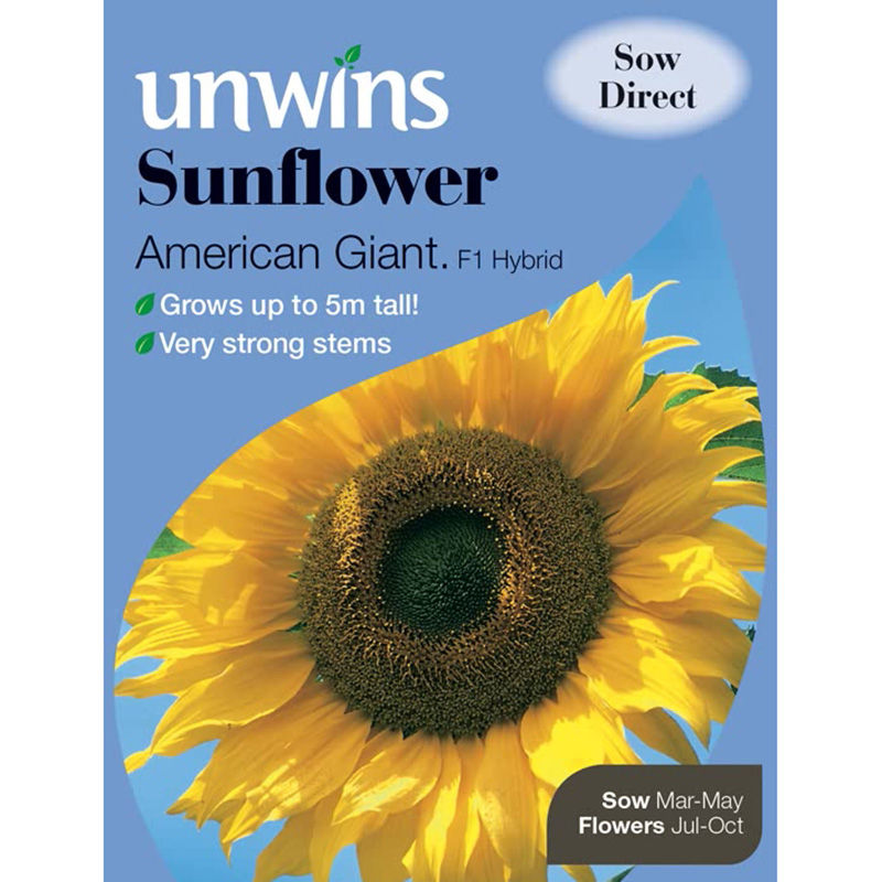 Unwins Sunflower American Giant F1 - Approx 12 Seeds