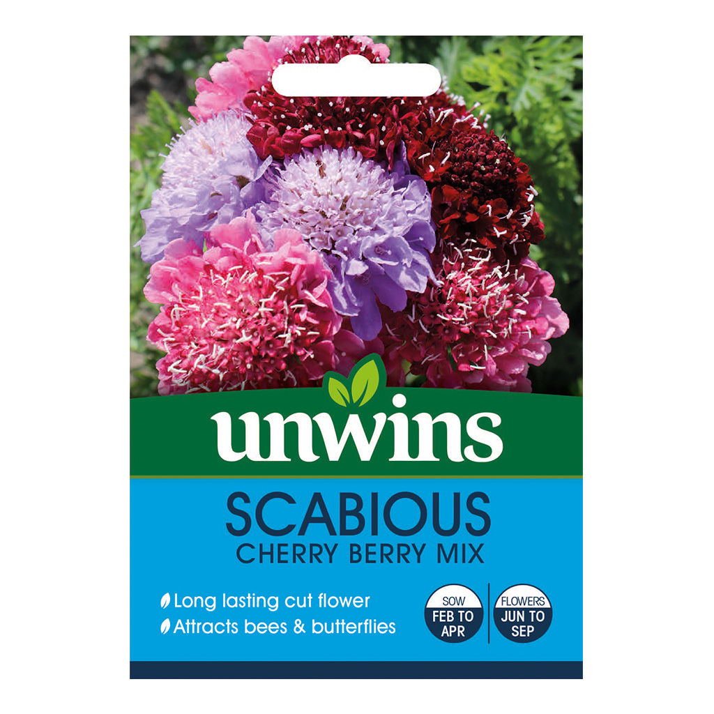 Unwins Scabious Cherry Berry Mix - Approx 50 Seeds