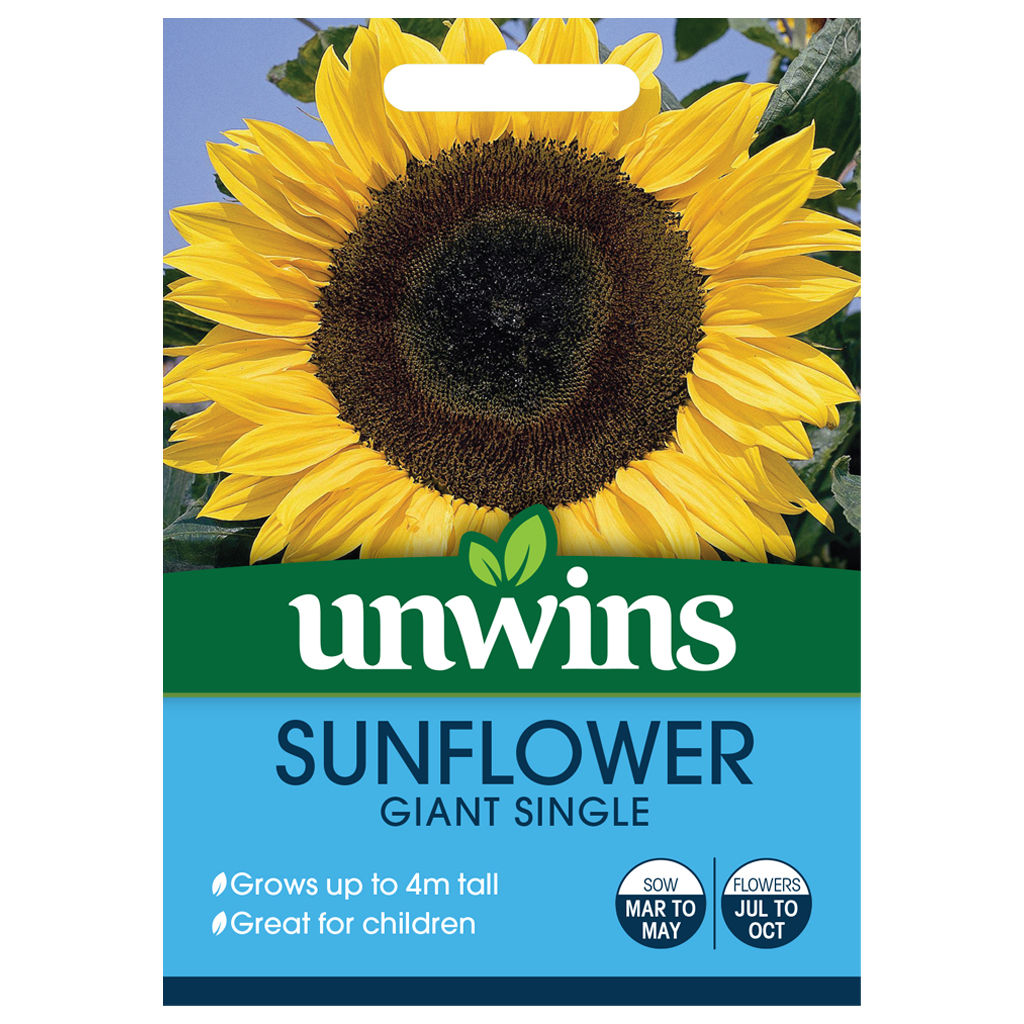Unwins Sunflower Giant Single - Approx 45 Seeds