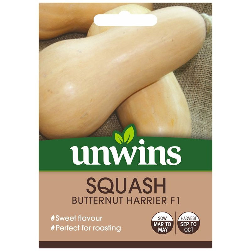 Squash Butternut Harrier F1 (Unwins)